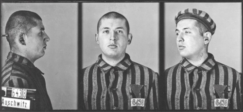 Zdjęcia obozowe Stanisława Gustawa Jastera (Fot. Państwowe Muzeum Auschwitz-Birkenau)
