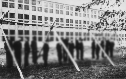 Egzekucja przez powieszenie piętnastu Polaków dokonana przez Niemców na terenie Radomskiej Fabryki broni, październik 1942 (AIPN)