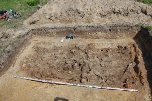 Zdjęcie archeologiczno-ekshumacyjne: odkryta jama grobowa, w której leżą liczne szkielety ludzkie