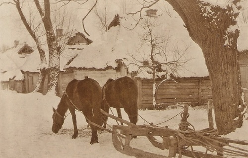 Sceneria zimowa. Para koni, zaprzężonych do sań (do przewozu drzew?), stoi pod drzewem, przed zabudowaniami, na których dachach leżą grube warstwy śniegu