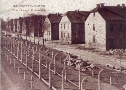 Bloki obozowe KL Auschwitz. Fot. AIPN