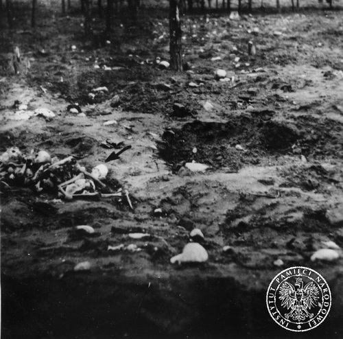 Ekshumacje na terenie obozu zagłady w Treblince. Widoczne porozrzucane kości, 7 listopada 1945 r. Fot. AIPN