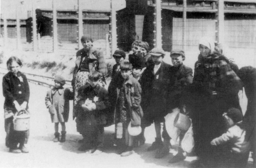 Żydzi węgierscy w KL Auschwitz-Birkenau w drodze do komór gazowych. (IPN)