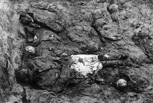 Zwłoki zamordowanych przez NKWD polskich oficerów w grobach masowych w Katyniu. Fot. AIPN