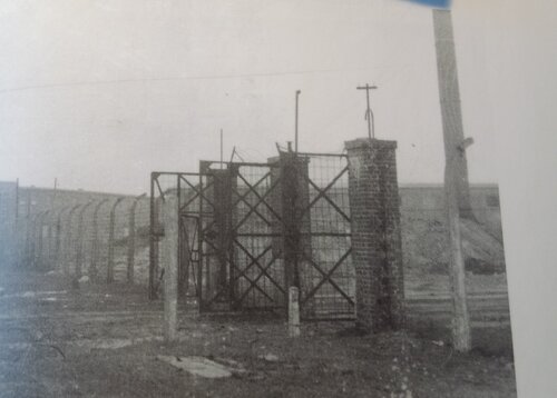 Brama wewnętrzna obozu w Jaworznie bezpośrednio po likwidacji obozu w 1956 r., Fot. Archiwum Muzeum Miasta Jaworzna.