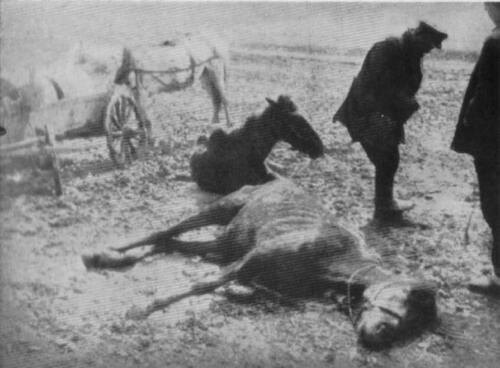 Wielki Głód na Ukrainie (okolice Charkowa, 1933 r.)