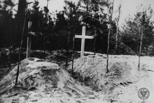 ...i ich groby, Katyń po 29 kwietnia 1943 r. (informacja z 1990 r. wg dr. H. Bartoszewskiego – ostatniego z żyjących delegatów ekipy PCK biorącej udział w ekshumacji w Katyniu). Fot. z zasobu IPN