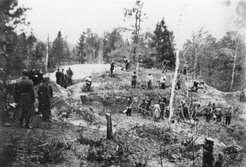 Pierwsza ekshumacja zamordowanych przez NKWD oficerów Wojska Polskiego w Katyniu zlecona przez Niemców. Prace ekshumacyjne przy grobach, pracują jeńcy sowieccy. Fot. z zasobu IPN