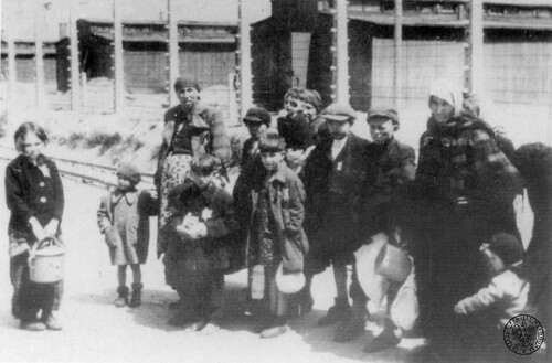 Zagłada Żydów węgierskich: w drodze do komór gazowych w niemieckim KL Auschwitz-Birkenau. Fot. z zasobu IPN