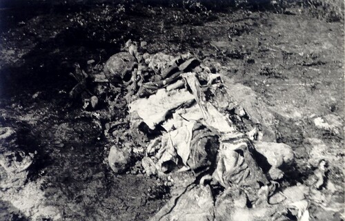 Ekshumacje w lasach panewnickich we wrześniu 1947 r. Ze zbiorów Karola Gierlotki
