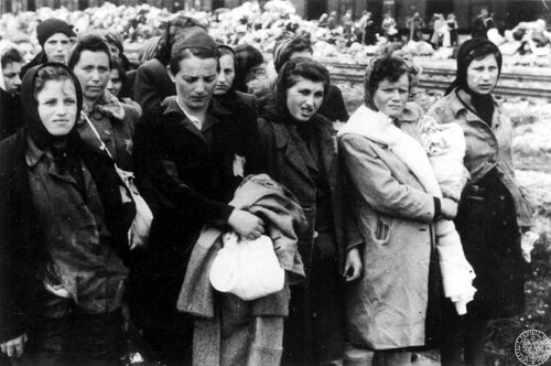 Grupa kobiet z transportu Żydów z Węgier, uznanych za zdolne do pracy, stoi na bocznicy kolejowej w obozie zagłady KL Auschwitz II - Birkenau, maj 1944 r. Fot. z zasobu IPN