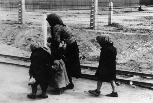 Starsza kobieta z trójką małych dzieci z transportu Żydów z Węgier idzie po selekcji do komory gazowej w obozie zagłady KL Auschwitz II - Birkenau, maj 1944 r. Fot. z zasobu IPN