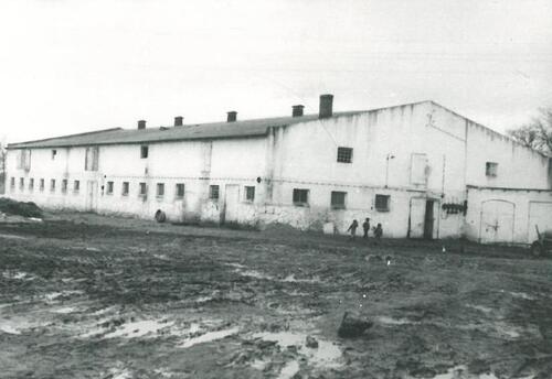 Obora, w której przetrzymywano więzionych Polaków. Fot. ze zbiorów IPN