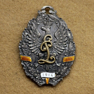 Polacy przeciwko Kajzerowi. Walki Białych Legionów na froncie rosyjskim w latach 1915-1917