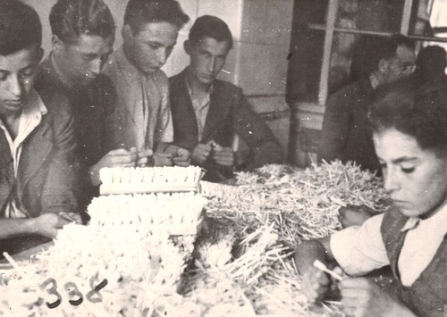 Dzieci żydowskie zatrudnione w jednym z warsztatów krakowskiego getta, w którym wyrabiano szczotki. Ze zbiorów Archiwum Żydowskiego Instytutu Historycznego