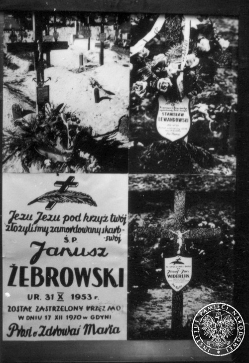 Plansza z wystawy ustawionej w grudniu 1980 r. w Gdańsku, zawierająca zdjęcia grobów zabitych osób w czasie Grudnia'70. Fot. AIPN