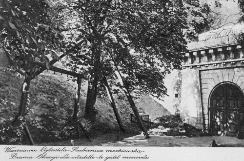 Ze zbiorów Narodowego Archiwum Cyfrowego