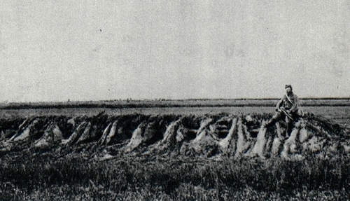 Zdobyte okopy rosyjskie pod Jastkowem, 1915 rok. Równina, na której widoczny jest szaniec okopowy. Siedzi na nim jeden żołnierz.