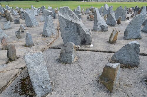 Kamień upamiętniający radomskich Żydów na terenie nimieckiego obozu zagłady w Treblince (fot. Wikipedia/CC BY-SA 3.0 pl/Adrian Grycuk)