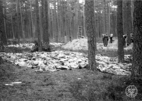 Ekshumacje ofiar zamordowanych przez Niemców w 1939 r. w Piaśnicy, 1946 r. Zwłoki wydobyte z mogił leżące na ziemi. Fot. z zasobu IPN