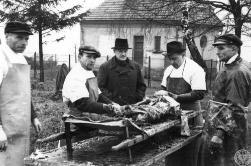 Exhumation of the patients of the hospital for the mentally ill in Kraków-Kobierzyn murdered by the Germans as part of the genocidal eugenic during the Second World War. November 1946. Inspection of the remains lying on the table. Photo from the collection of the Institute of National Remembrance