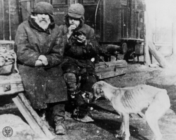 Sowiecki zabór roku 1939