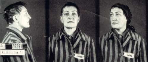Zdjęcie sygnalityczne z KL Auschwitz (fot. ze zbiorów Anny Wincentowicz)