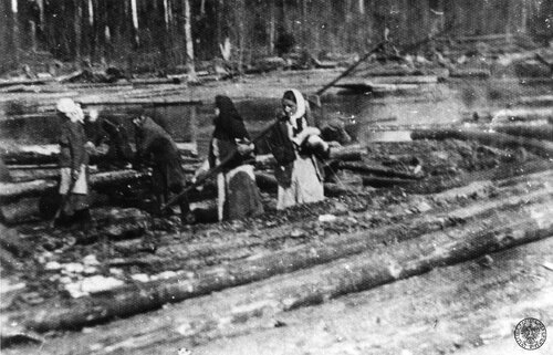 Niewolnictwo w ZSRS: spław drewna w jednym z miejsc katorgi niewolników Związku Sowieckiego na terenie Republiki Komi. Fot. z zasobu IPN