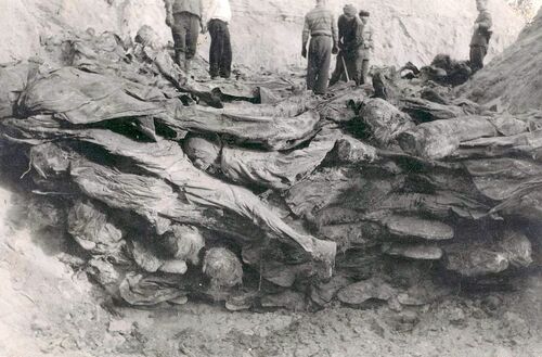 Szczątki odnalezione w Katyniu