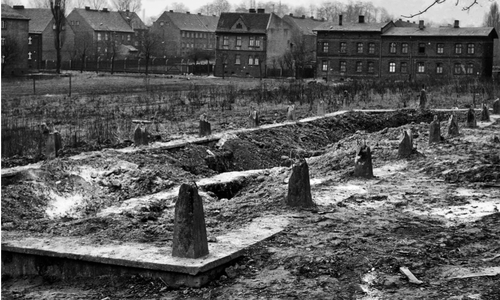 Zbiorowa mogiła mieszkańców Miechowic zamordowanych przez Armię Czerwoną w dniach 25–27 stycznia 1945 r., zdjęcie z ekshumacji w kwietniu 1969 r. (fot. Józef Bonczol)