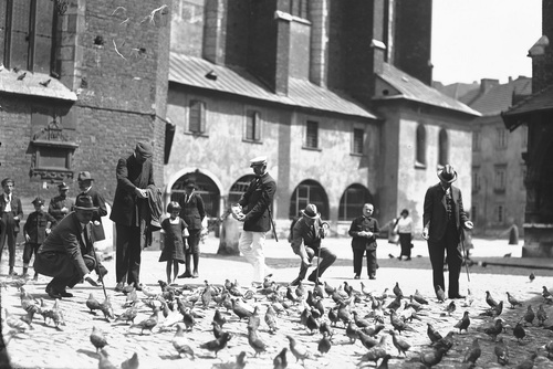 Przechodnie karmiący gołębie obok  kościoła Mariackiego w Krakowie, 1926 r.