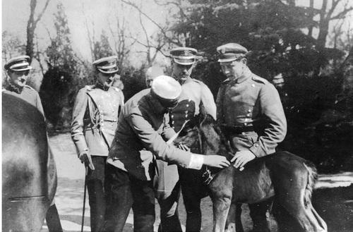 Naczelnik Państwa Józef Piłsudski z Kasztanką i źrebakiem, 1919 r. Fot. NAC