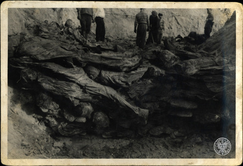 Prace ekshumacyjne w Katyniu, 1943 r. Fot. z zasobu IPN