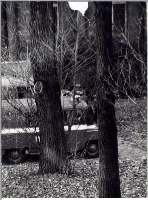 Słabej jakości fotografia przedstawiająca radiowóz milicyjny stojący za drzewami