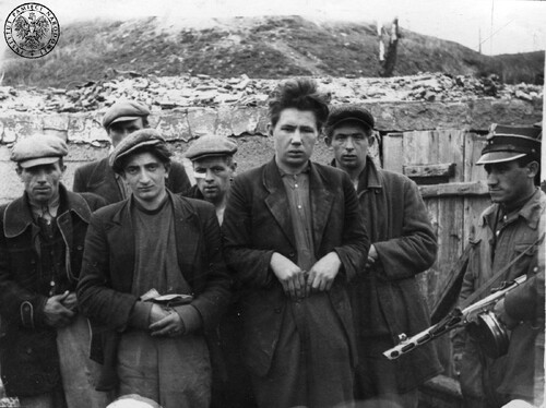 Schwytani członkowie UPA pod strażą żołnierzy komunistycznej armii (kwiecień-maj 1947 r.), pozbawieni pasków od spodni w celu utrudnienia ucieczki. Fot. z zasobu IPN