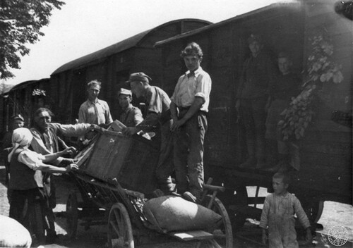 Operacja „Wisła”, 1947. Żołnierze komunistycznej armii pomagają przesiedleńcom ukraińskim ładować dobytek do wagonów kolejowych na punkcie załadowczym. Fot. z zasobu IPN