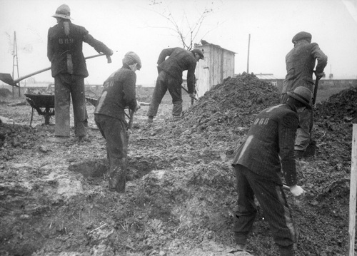 Piątka mężczyzn prowadzących prace ziemne przy użyciu łopat. Na plecach górnej części garderoby wypisane trzycyfrowe numery.
