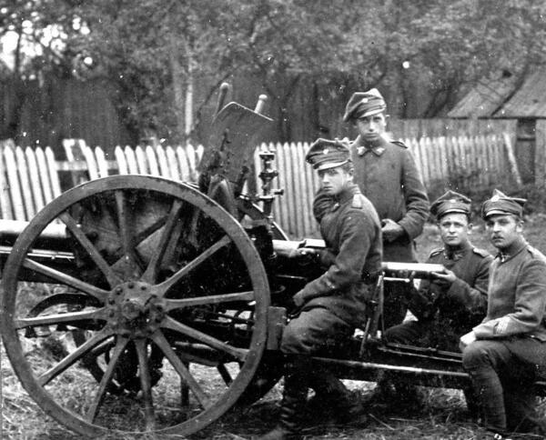 Wielkopolscy ochotnicy na wojnie polsko-bolszewickiej