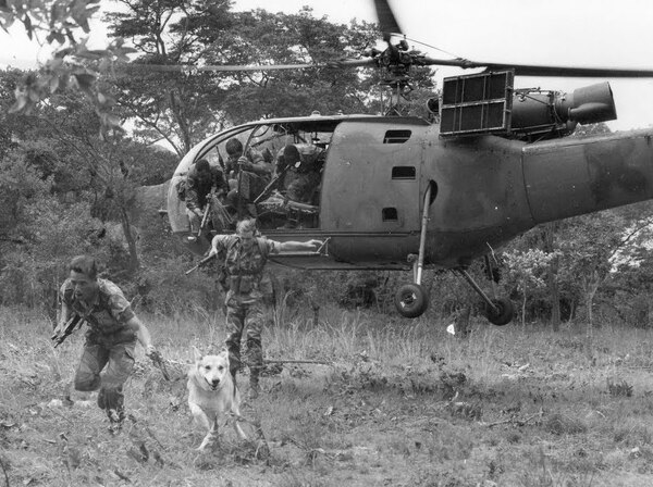 Polacy w wojnie rodezyjskiej 1965-1980