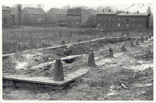 Zbiorowa mogiła mieszkańców Miechowic, pomordowanych przez Armię Czerwoną. Ze zbiorów Józefa Bonczola. Za: <i>Tragedia w cieniu „wyzwolenia”. Górny Śląsk w 1945 roku. Materiały edukacyjne</i>, IPN Oddział w Katowicach, 2015