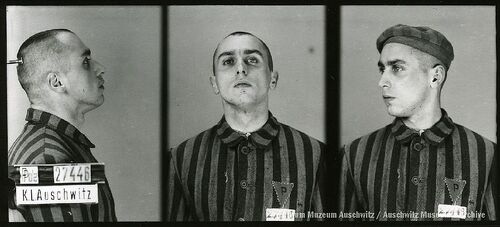 Zdjęcie sygnalityczne wykonane z profilu (prawego), en face i półprofilu (lewego). W lewym dolnym rogu tabliczka z nadanym numerem obozowym. Mężczyzna pozuje w ubraniu więziennym.