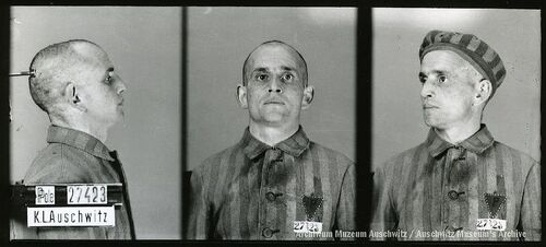 Zdjęcie sygnalityczne wykonane z profilu (prawego), en face i półprofilu (lewego). W lewym dolnym rogu tabliczka z nadanym numerem obozowym. Mężczyzna pozuje w ubraniu więziennym.