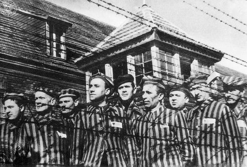 Grupa mężczyzn - więźniów KL Auschwitz ubranych w charakterystyczne obozowe pasiaki stojących za drutem kolczastym