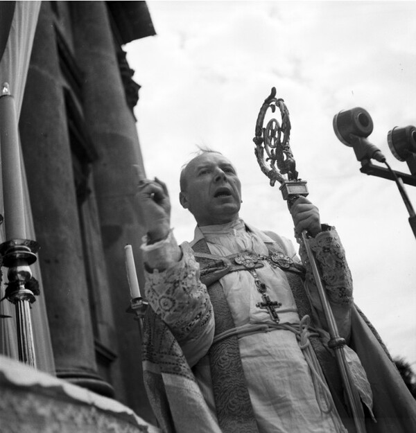 Niekwestionowany przywódca