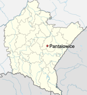Mapa z zarysem granic województwa podkarpackiego i zaznaczonym czerwonym punktem w miejscu położenia miejscowości Pantalowice