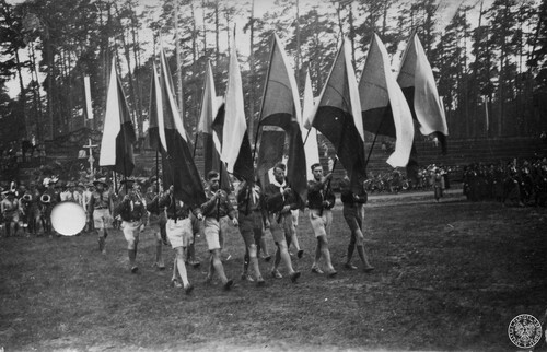 Na środku murawy grupa harcerzy z flagami