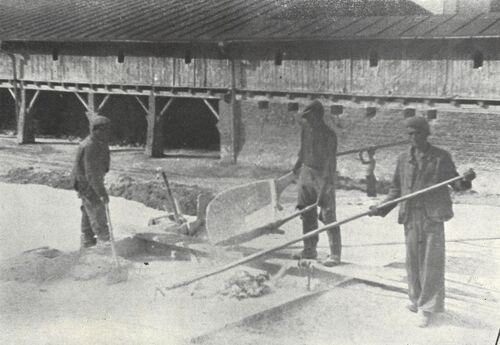 Więźniowie podczas pracy z narzędziami budowlanymi.