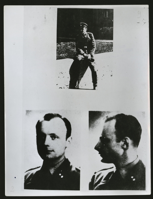 Funkcjonariusz Adst Sipo Kielce SS-Hauptscharführer Wolfgang Rehn, obecny w Michniowie podczas pacyfikacji. Zdjęcie zawiera trzy ujęcia portretowe młodego mężczyzny w mundurze funkcjonariusza niemieckich służb terroru z okresu rządów Hitlera.