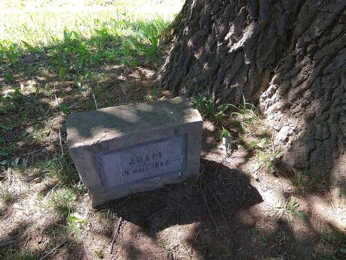 Park zamkowy w Krasiczynie z dębem zasadzonym w dniu urodzin Adama Stefana Sapiehy