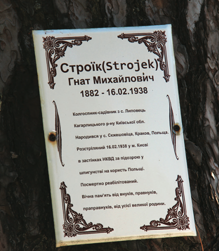 Tablica na drzewie w Bykowni poświęcona rozstrzelanemu Polakowi Ignacemu Strojkowi (1882–1938), urodzonemu pod Krakowem (fot. Michał Masłowski)